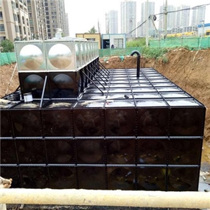 太原市特巡警大隊