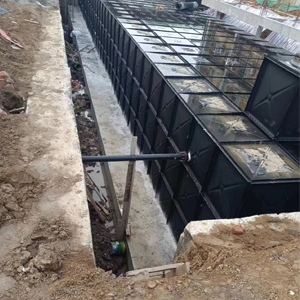 寧夏 沙壩頭農場一站